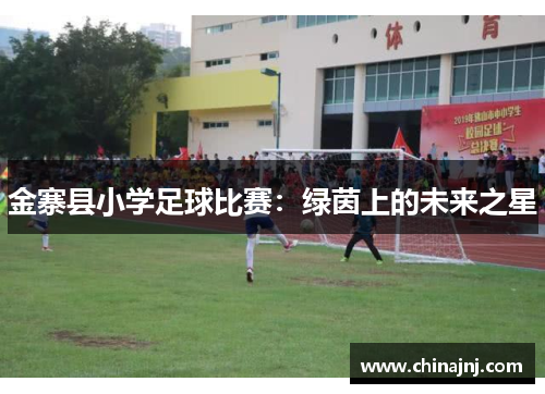 金寨县小学足球比赛：绿茵上的未来之星